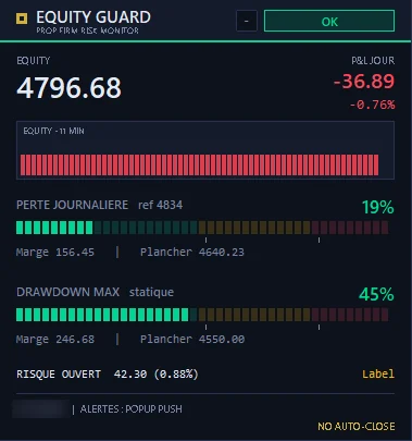 Panneau Equity Guard avec perte journalière et drawdown